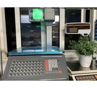 BASCULA ECONOMICA CON TICKET 4 VENDEDOR