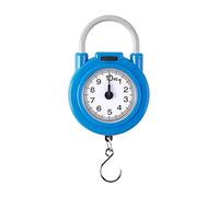 Báscula mecánica de resorte portátil vintage de 10 kg con gancho para colgar equipaje de bolsillo, pesaje de alimentos de viaje