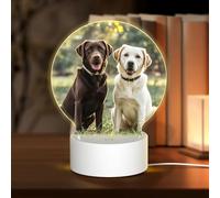Base de lámpara LED nocturna 3D, lámparas de amor acrílicas, labrador retriever, perros, luz nocturna, lámpara LED de mesita de noche, lámparas de mesa acrílicas, día de San Valentín, Acción de