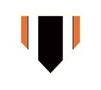 Baseball Training Plate, Pitching Hitting Mat, 15.75x23in Non Slip Weatherproof Base, High Visibility Target Design, Field Equipment for Players, Pitchers, Batters, Beginners, Referees