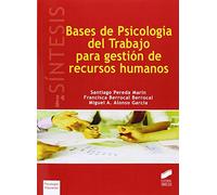 Bases de psicología del trabajo para gestión de recursos humanos: 4 (Síntesis psicología. Psicología evolutiva y de la educación)