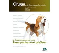 Bases prácticas en el quirófano. Cirugía en la clínica de pequeños animales. La cirugía en imágenes, paso a paso: 7