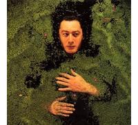 Bashung, Alain - Fantaisie Militaire (Rep.V