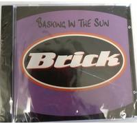 Basking in the Sun - Brick