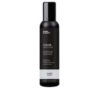 basler Color Mousse Plata, lata de aerosol 200 ml