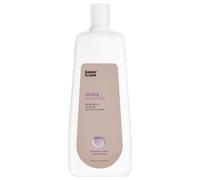 basler Silber Shampoo