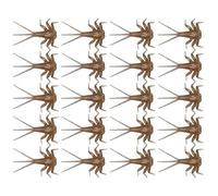 Bass Fly Fishing Railer - Juego de 20 señuelos de pesca de truchas realistas hechos a mano | Contiene componentes de cuerpo de ninfas, juego de pesca con mosca real, perfecto para La