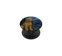 Basset Fauve de Bretagne Perro Van Gogh Noche Estrellada PopSockets PopGrip Adhesivo