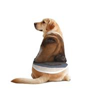 Basset Hound - Camiseta con mangas para perro, divertida ropa para mascotas, lavable a máquina, chaleco para perros medianos y grandes
