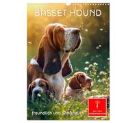 Basset Hound - freundlich und anhänglich (Wandkalender 2026 DIN A3 hoch), CALVENDO Monatskalender: Ein sanfter und gutmütiger Familienhund.