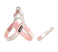 Basset Hound - Juego de arnés y correa en forma de Y, arnés ligero antitirones de 1,4 m, acolchado suave, rosa, L