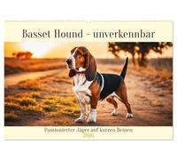 Basset Hound - unverkennbar (Wandkalender 2026 DIN A2 quer), CALVENDO Monatskalender: Passionierter Jäger auf kurzen Beinen
