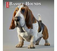 Basset Hounds Calendar 2026: Long-Eared, Big-Eyed Friends in Lazy Day Poses
