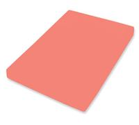 Bassetti Boxspring Uni Coralle X1/687 9302312 - Sábana Bajera Ajustable (algodón y Elastano, 140 x 200 cm, 160 x 220 cm), Color Coral