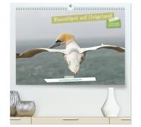 Basstölpel auf Helgoland - von Ostfriesenfotografie (hochwertiger Premium Wandkalender 2026 DIN A2 quer), Kunstdruck in Hochglanz: Zu Besuch bei den Basstölpeln auf Helgoland