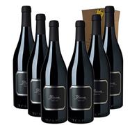 Bassus Pinot Noir - Ideal para Maridar con Carne y Comida Mediterránea - Pack 6 Botellas 75cl