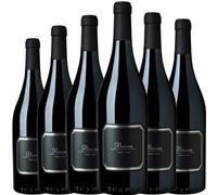 Bassus Pinot Noir Vino Tinto de Crianza elaborado en España, con 14,5% Vol., perfil elegante y aromático, ideal para maridar con platos delicados| 6 botellas