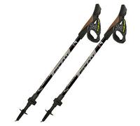 Bastones de caminata nórdica Fizan R-Evolution Pro Color: gris