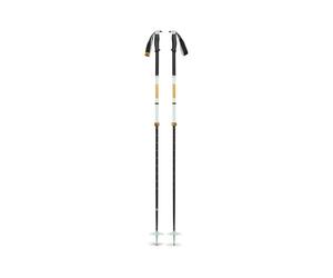 Bastones de esquí Black Diamond TRAVERSE PRO SKI POLES (Foam Green)
