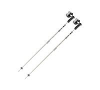 Bastones de esquí Leki DETECT S (gris/negro) Unisex