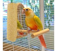 Bastones de tratamiento Shotet - 51x0.98x0.98 pulgadas Nutritivos Palitos de Aves | Semillas Naturales Y Miel Tratan Periquitos, Periquitos, Cacadosis y Pájaros Pequeños | Bird Treat - Snack