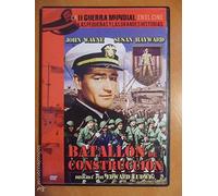 BATALLON DE CONSTRUCCION