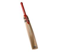 Bate de cricket Gray-Nicolls Technique SH