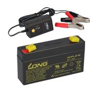 Batería AGM De Plomo 6V 1,2Ah Compatible Para UPS Plomo Gel + Cargador 6V