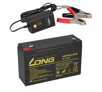 Batería AGM DE Plomo 6V 12Ah Compatible Para UPS Gel De Plomo + Cargador 10Ah