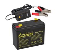 Batería AGM DE PLOMO 6V 7Ah WP7-6S Compatible Con UPS DE GEL + CARGADOR