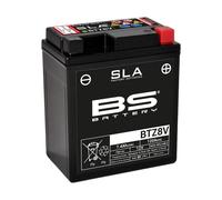Bs-battery