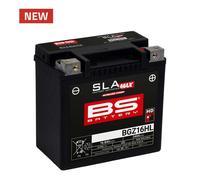 BS-BATTERY Batería SLA-MAX BGZ16HL 12V 14Ah Negro