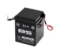 Batería Bs Sla 6N4-2A/A-4 6 V 4,2 Ah Lista Para Usar Ya Activada