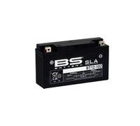 BS Battery Batteria SLA senza manutenzione attivata in fabbrica - BT12-10Z