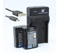 Batería de iones de litio NP-FV50 DSTE de 7,4 V 1300 mAh (2 unidades) + cargador micro USB compatible con Sony HDR-CX220, CX230, CX290, CX330, CX380, CX430V, CX900, CX260V, CX580V, CX760V, PJ200, etc
