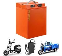 Batería de Litio 48 V, 60 y 72, 26 Ah, 45, 55, 63, 65 76, LiFePO4 para Kits Motor 1250 W a 5450, con Cargador Pantalla Potencia(72V 45AH)