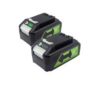 Batería de Litio de Alta Capacidad de 24 V y 6,0 Ah Compatible con Herramientas eléctricas y Herramientas de jardín Greenworks(2pcs 6Ah Battery)