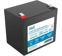 Batería de Litio LiFePO4 12.8V 5Ah 64Wh - WELL
