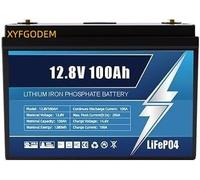Batería de Repuesto fosfato Hierro y Litio LiFePO4 12,8 V, 50 Ah 100 con más 4000 ciclos BMS para autocaravanas, carros Golf Carga Solar