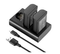 Batería de Repuesto y Cargador de 2400 mAh, Tipo C, Cargador USB de Doble Canal, Compatible con Panasonic Lumix DC-S5 DMW-BLK22.