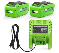 Batería de repuesto y cargador para Greenworks 40V batería compatible con GreenWorks G-MAX 6.0Ah 40V Power Tools 29462 29252 20202 22262 25312 25322 20642 22272 27062 21242 (paquete de 2 + cargador)