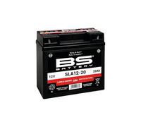 BS Battery Batería SLA libre de mantenimiento activada de fábrica - SLA12-20