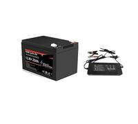 Batería LiFePO4 De 12V 20Ah, Compatible Con Daweikala, BMS Incorporado, Batería Recargable De Fosfato De Hierro Y Litio De 6000 Ciclos(20Ah Battery-B)