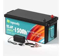 Bateria Litio 24V 150Ah Bateria LiFePO4,Litio de 8000+ Ciclo Profundo, Integrado 100A BMS, 10 años de Vida, Baterias Litio para Fuera de la Red Caravana Sistemas de Respaldo