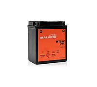 Batería Malossi Gel YTZ8V sellada CZD A X Max 300 2017 2018 2019 2020 2021 SH 125 150 2017 2018 2019