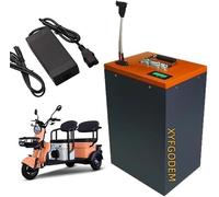 Batería para Motocicleta eléctrica de 48V 60V 72V LiFePO4 12Ah 20Ah 30Ah 40Ah 50Ah 60Ah con Cargador para Motor Triciclo
