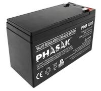 Batería Phasak 12V 9Ah AGM VRLA Sellada sin Mantenimiento - Terminal F2 - Recambio para SAI/UPS, Alarmas y Sistemas de Seguridad - PHB 1209