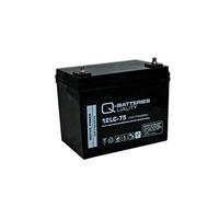 Batería Qbatteries 12LC-75 Agm Deep Cycle Battery. Tecnología AGM. 12V - 77Ah...