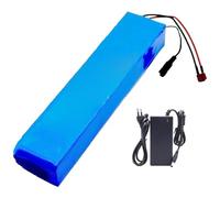 Batería Recargable De Iones De Litio De 60 V Y 50 Ah para Patinete Eléctrico, 16S2P, Resistente Al Agua, con Protección BMS Y Cargador. T+SM