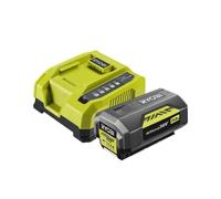 Kit cargador 6.0Ah y batería 4.0Ah 36V MAX POWER™ Lithium+™ (1 x 4.0Ah)